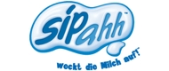 Launch und Markenführung